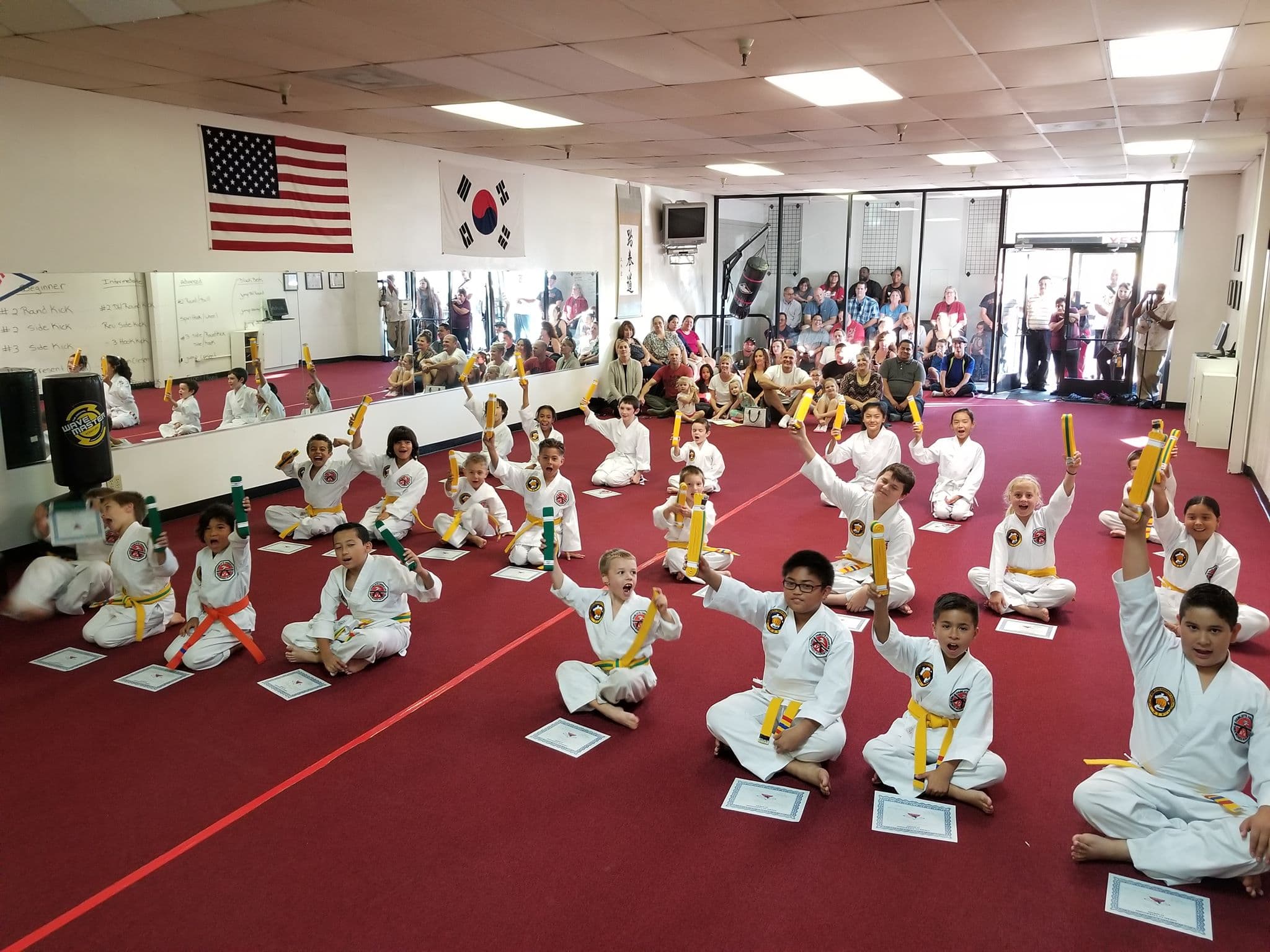 Hamlet's Taekwondo Academy logo