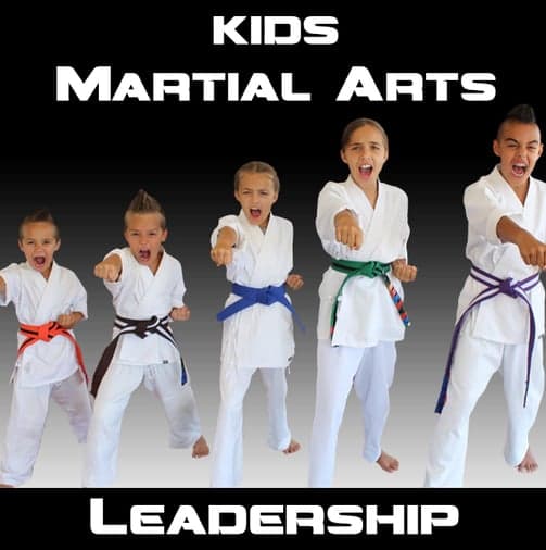 Happy Life Mix Martial Arts logo