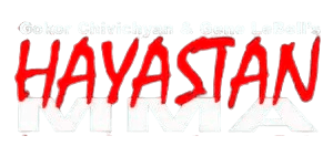 Main image of Hayastan MMA Academy