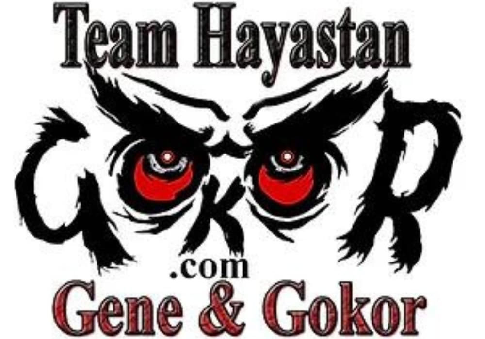 Main image of Hayastan MMA Santa Clarita