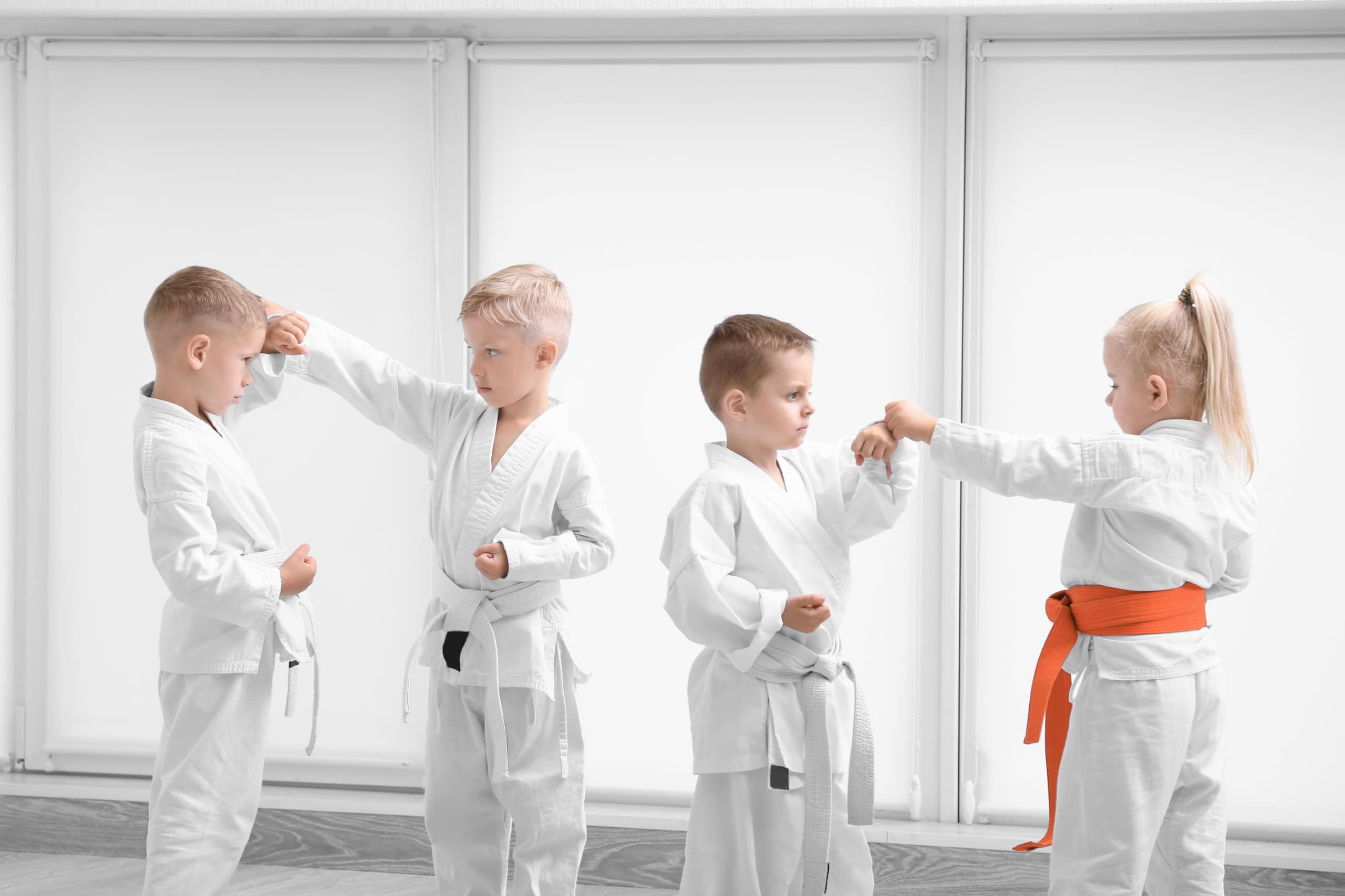 Main image of Hiawatha Martial Arts Academy