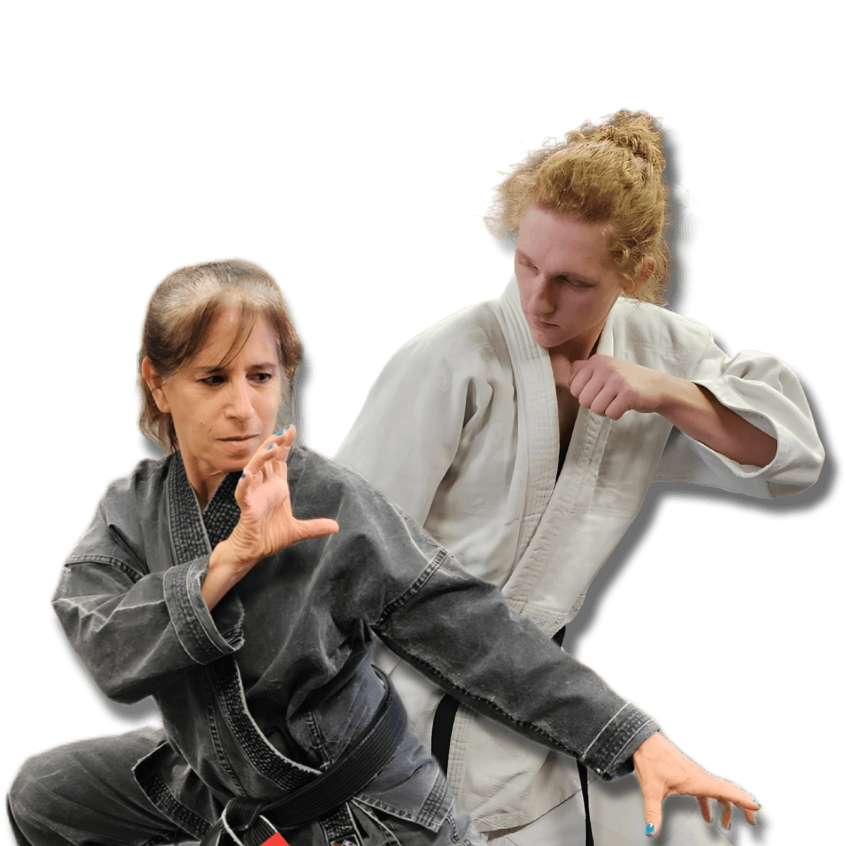 Hillcrest Academy of Goshin logo