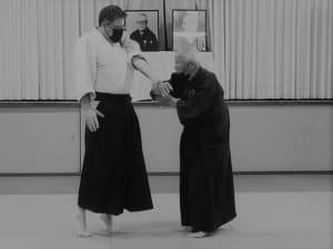 Hokuto Dojo logo