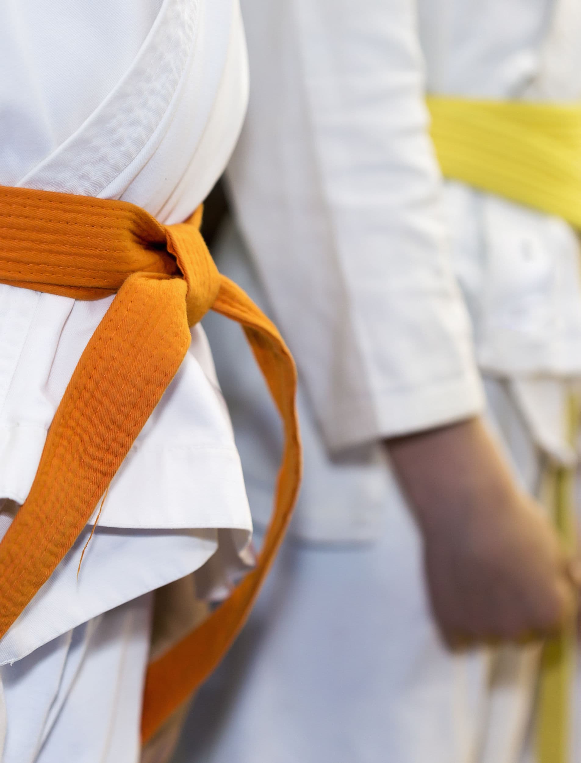 Main image of Holm Martial Arts