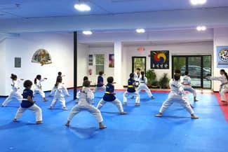 Hong Ik Martial Arts logo