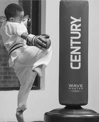 Hudson Valley Martial Arts and Boxing Academy logo