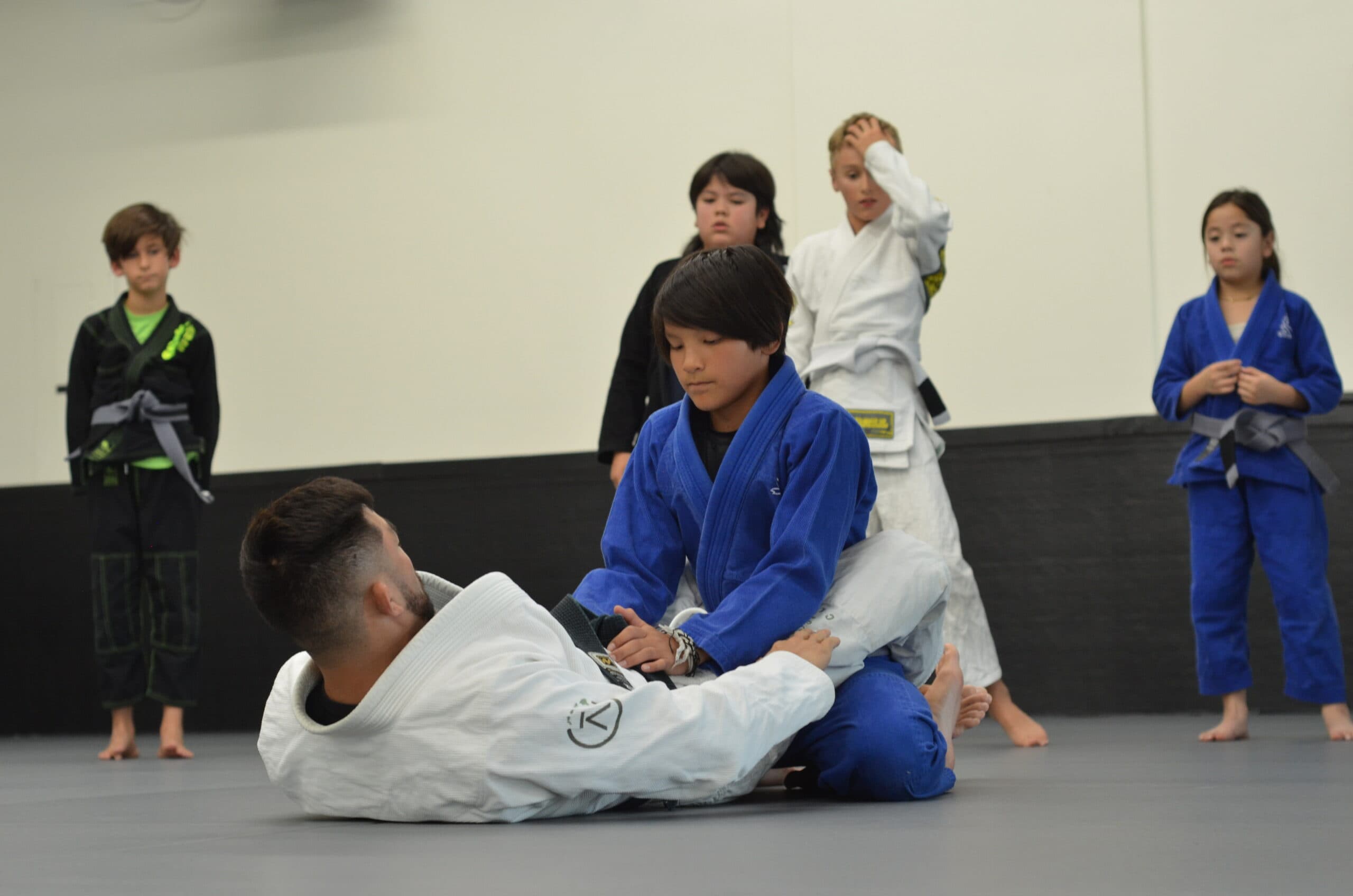 Main image of Hybrid Jiujitsu