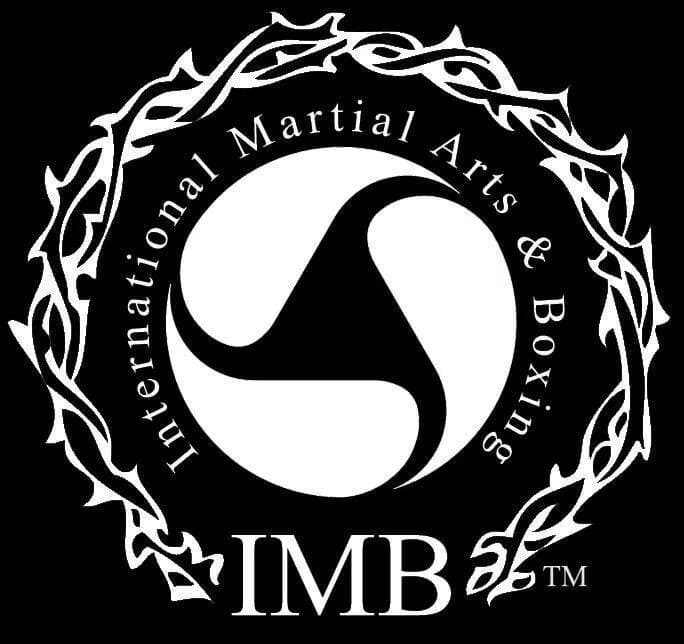 IMB Academy logo