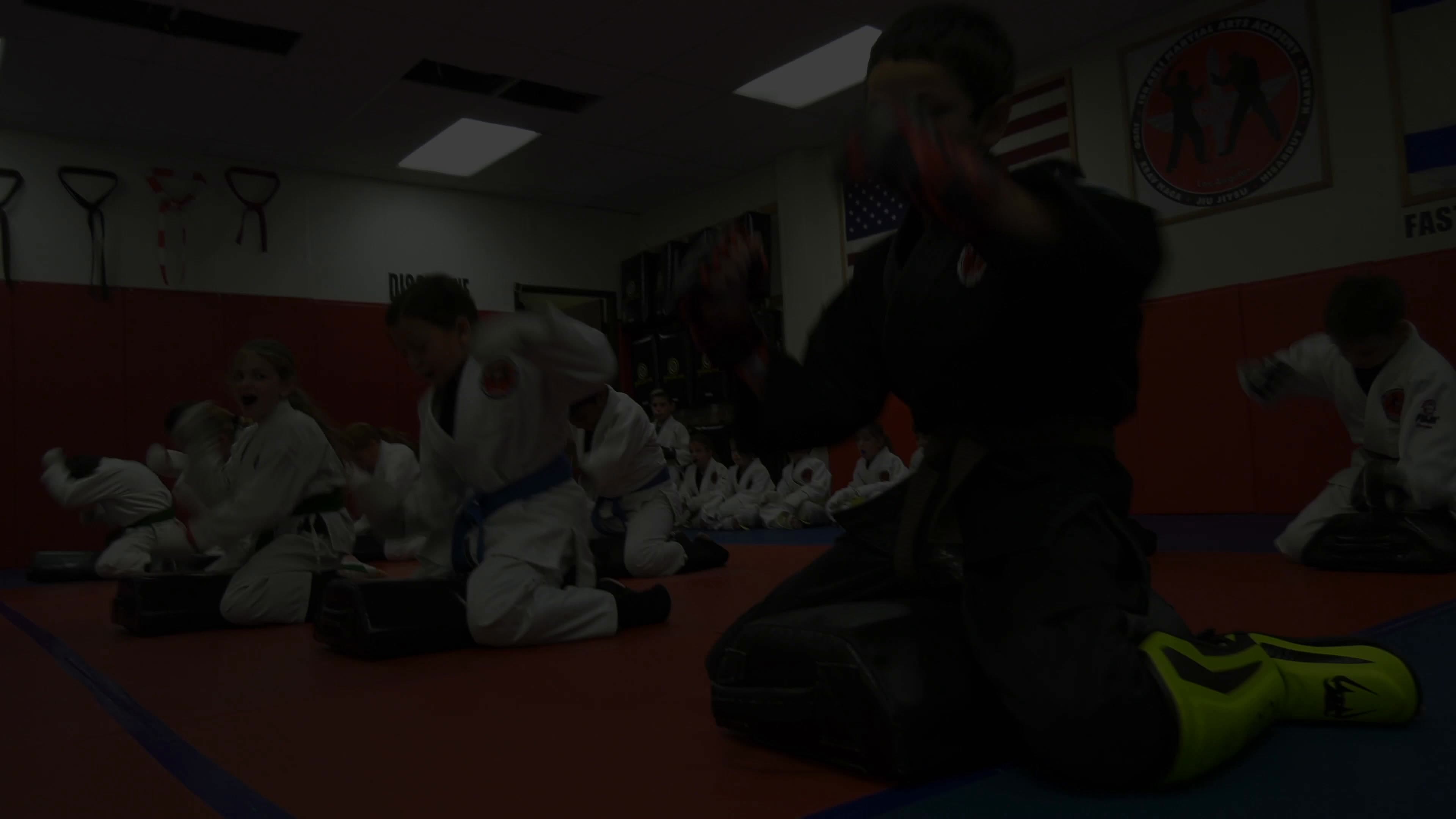 Main image of Israeli Martial Arts Academy Westlake Village