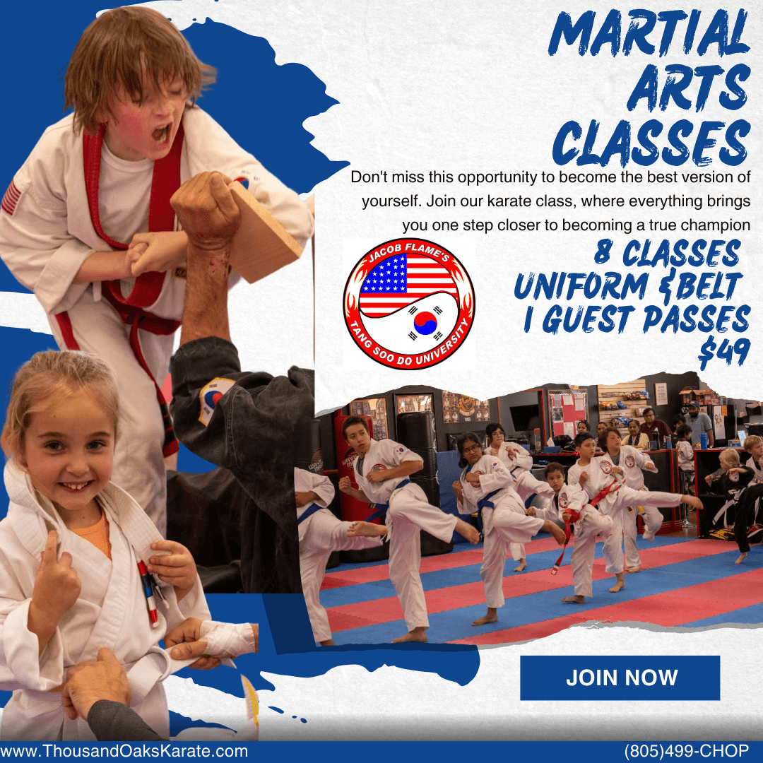 Jacob Flame's Tang Soo Do University logo