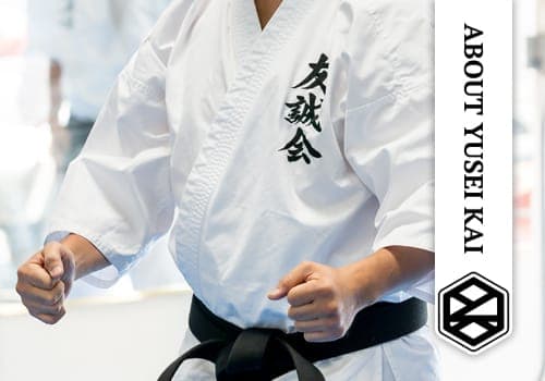 Main image of Japan Martial Arts Dojo Yusei Kai Karate