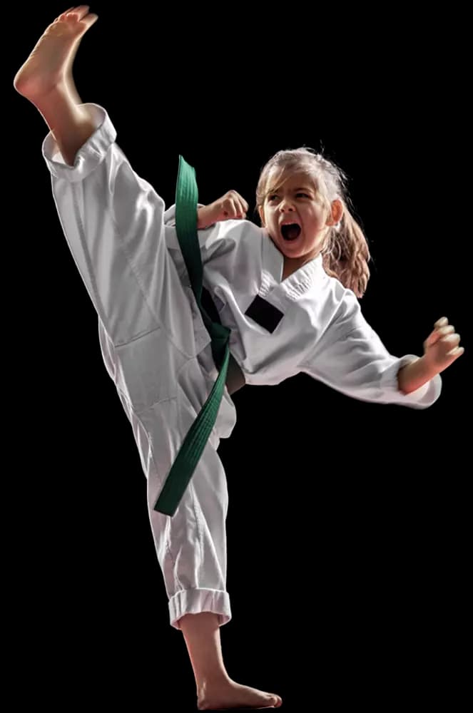Main image of Jin Martial Arts Academy