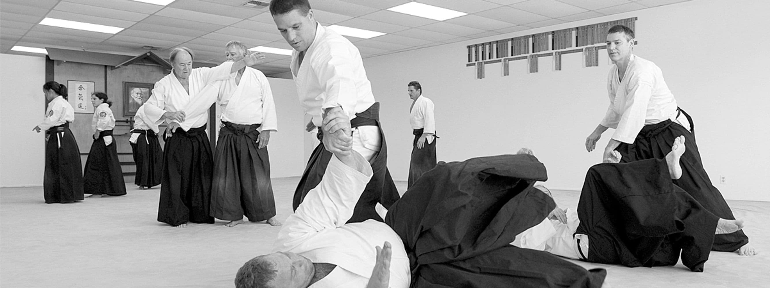 Main image of Jionjuku Aikido Academy of Warrior Spirit