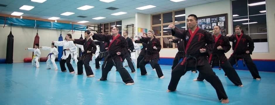 Kim's Hapkido logo