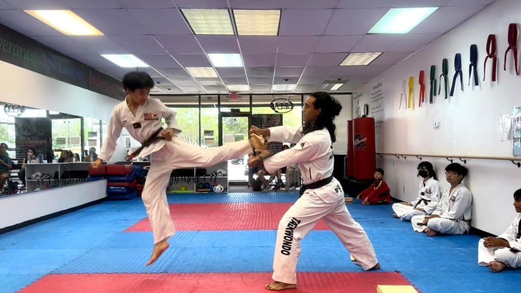Kim's World Taekwondo Sugar Land logo