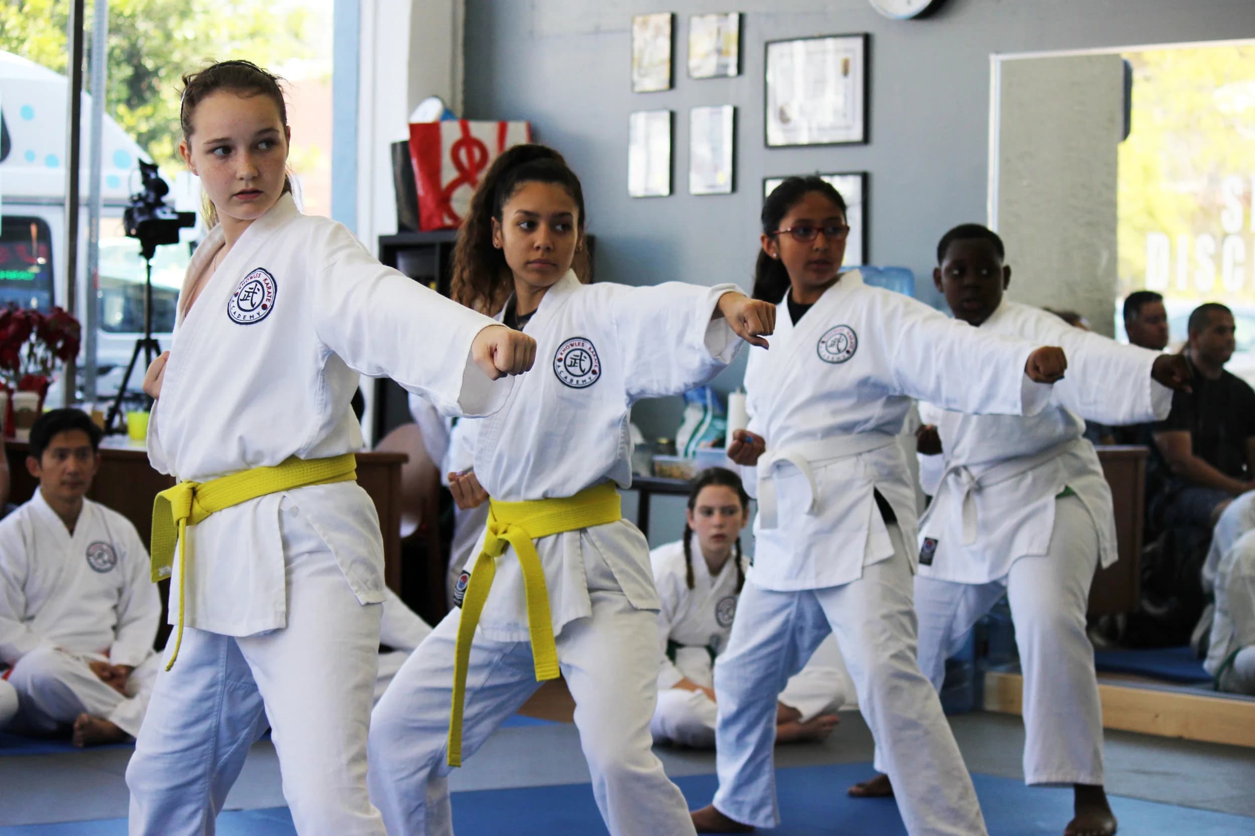 Main image of Knowles Karate Academy