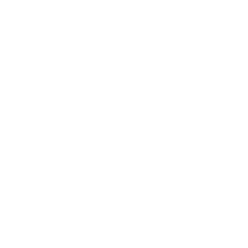 KOSOOHAE TAEKWONDO ACADEMY logo