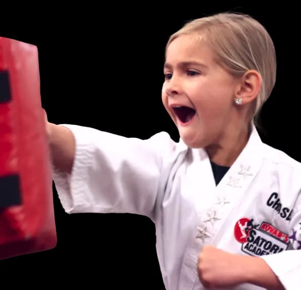 Main image of Kovar's Satori Academy of Martial Arts - Fair Oaks