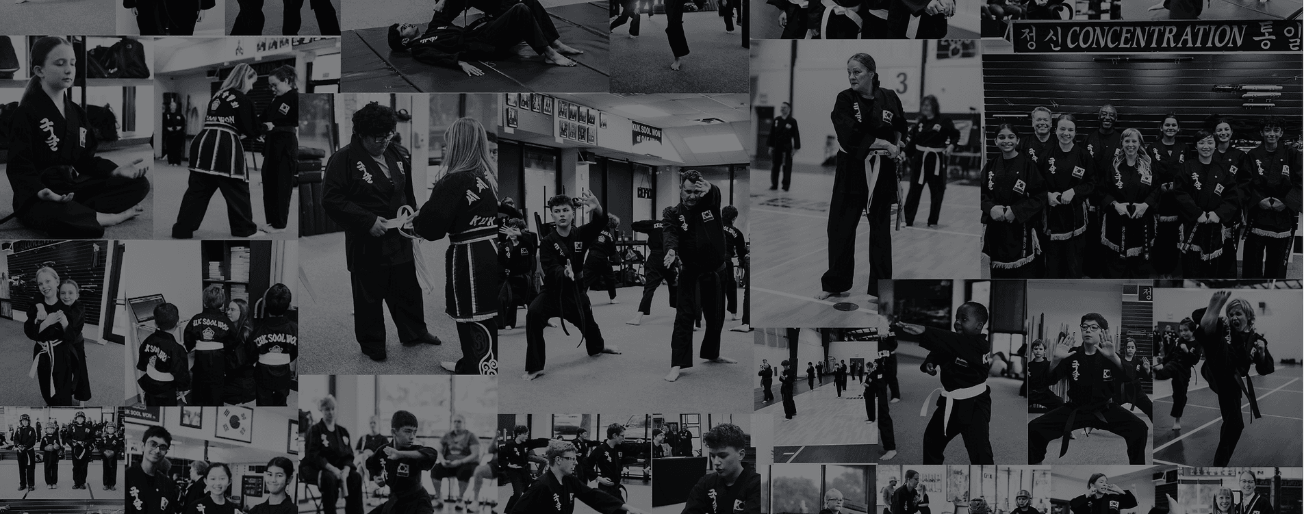 Kuk Sool Won of Oak Hill Martial Arts logo