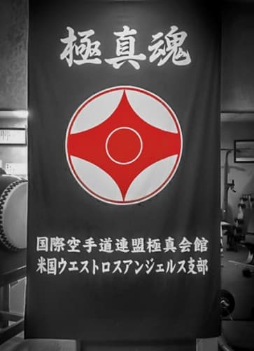 Main image of Kyokushin Karate