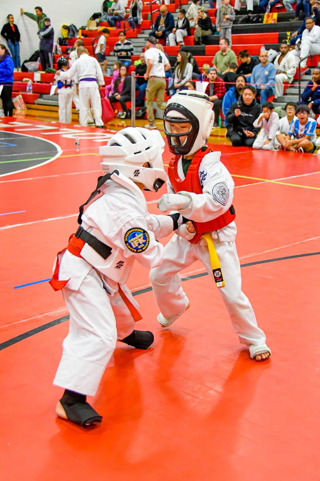 Kyokushin Karate USA logo