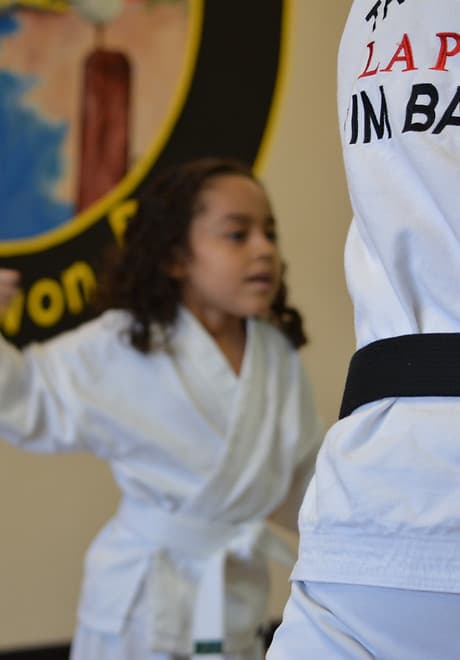 Main image of La Porte TaeKwonDo