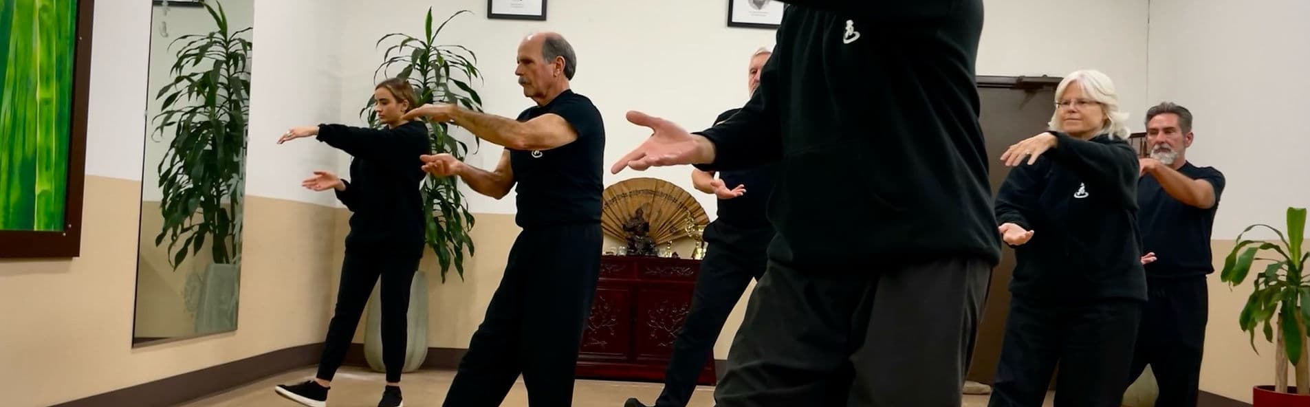Main image of Lau Kune Do Kung Fu and Tai Chi