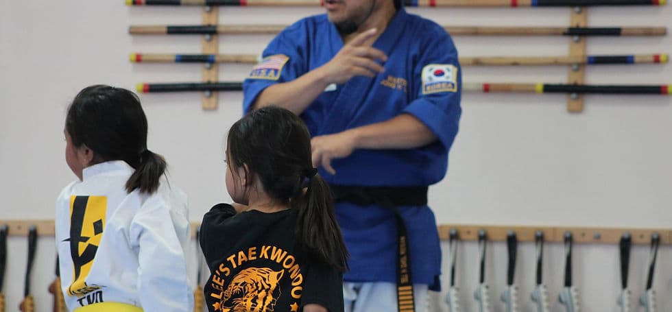 Main image of Lee's Tae Kwon DO