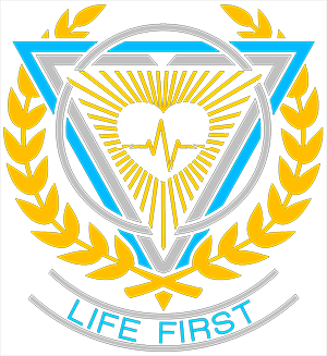 Life First Group, LLC logo