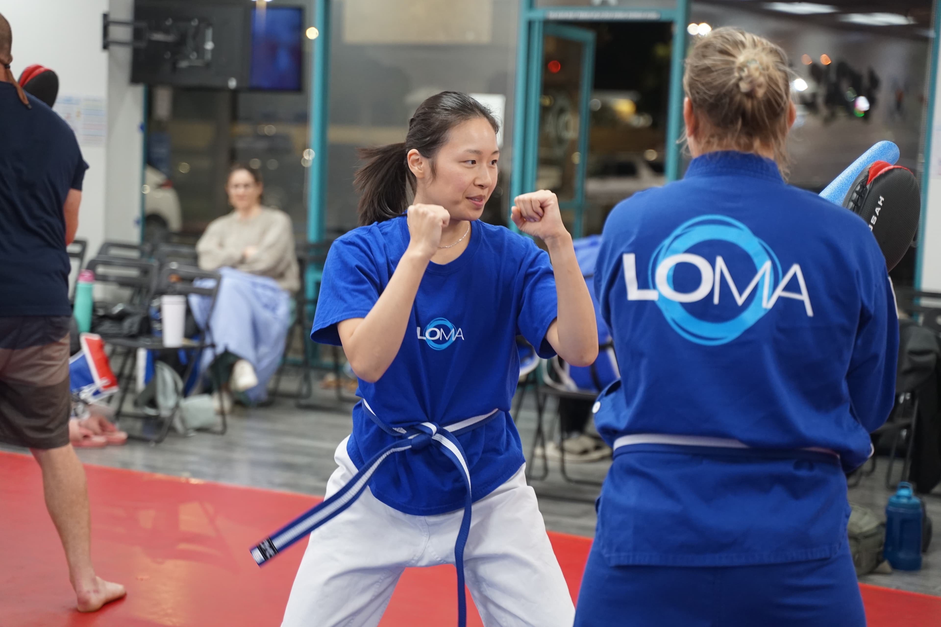 Main image of Life Of Martial Arts - LOMA