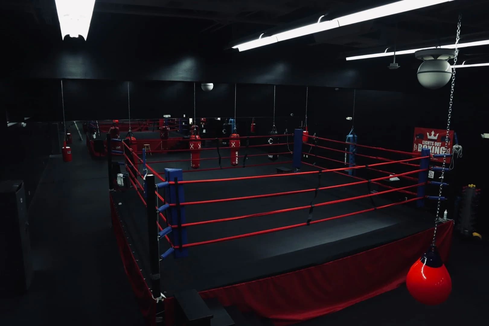 Lights Out Boxing and Fitness Club logo