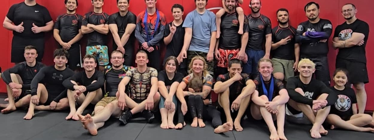 Main image of Loris Brazilian Jiu-Jitsu