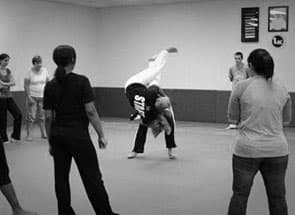 LX Jiu-Jitsu & Self Defense logo