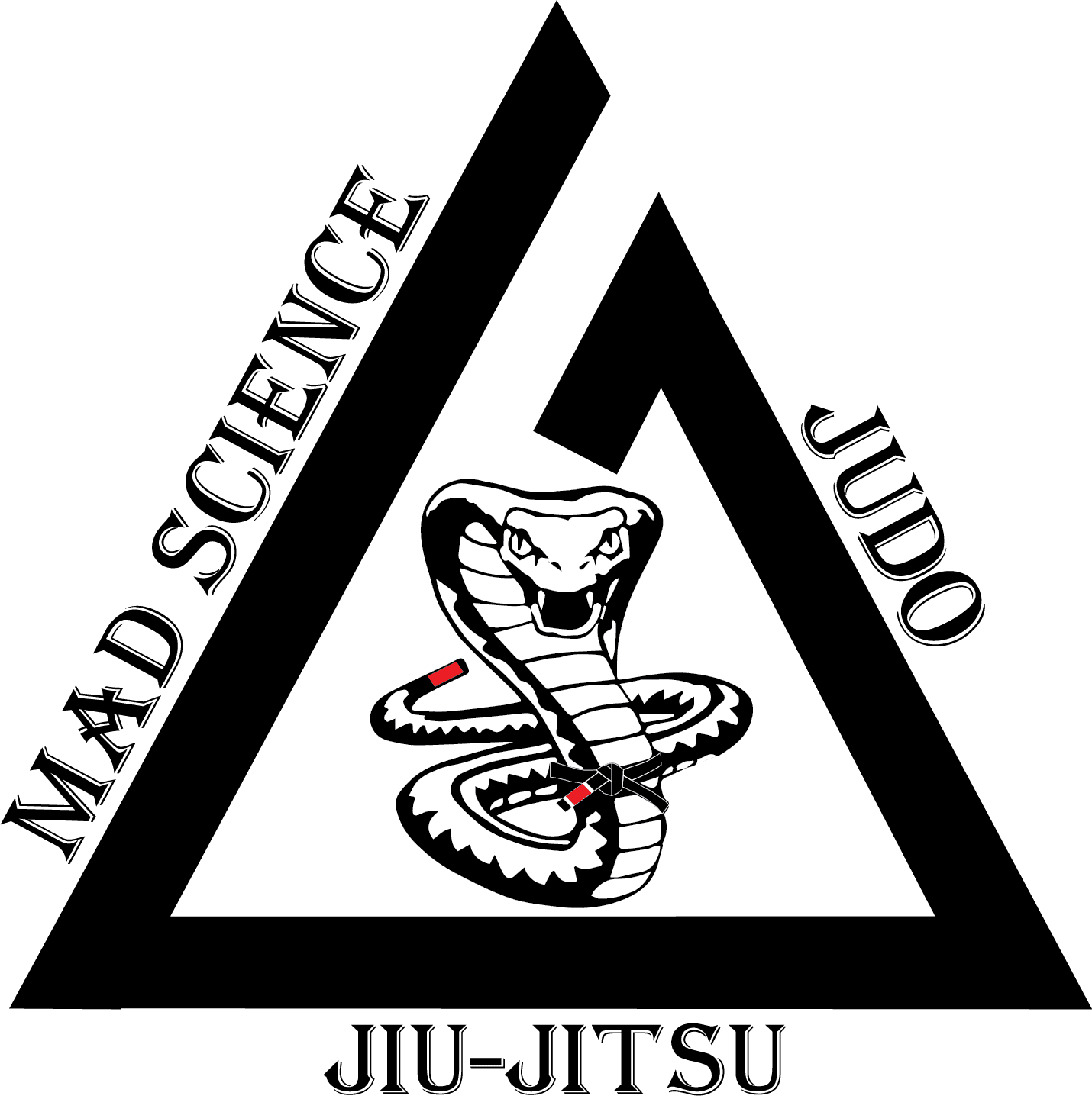 Mad Science Judo and Jiu-Jitsu logo