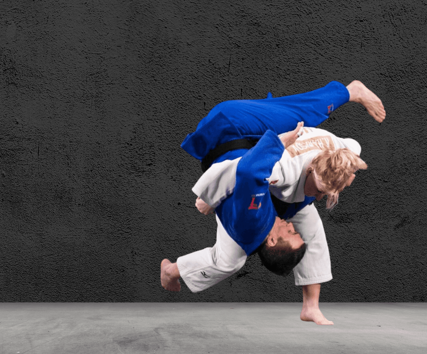 Main image of Makoto Jiu Jitsu