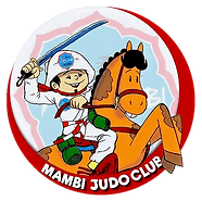 Main image of Mambi Judo Academy