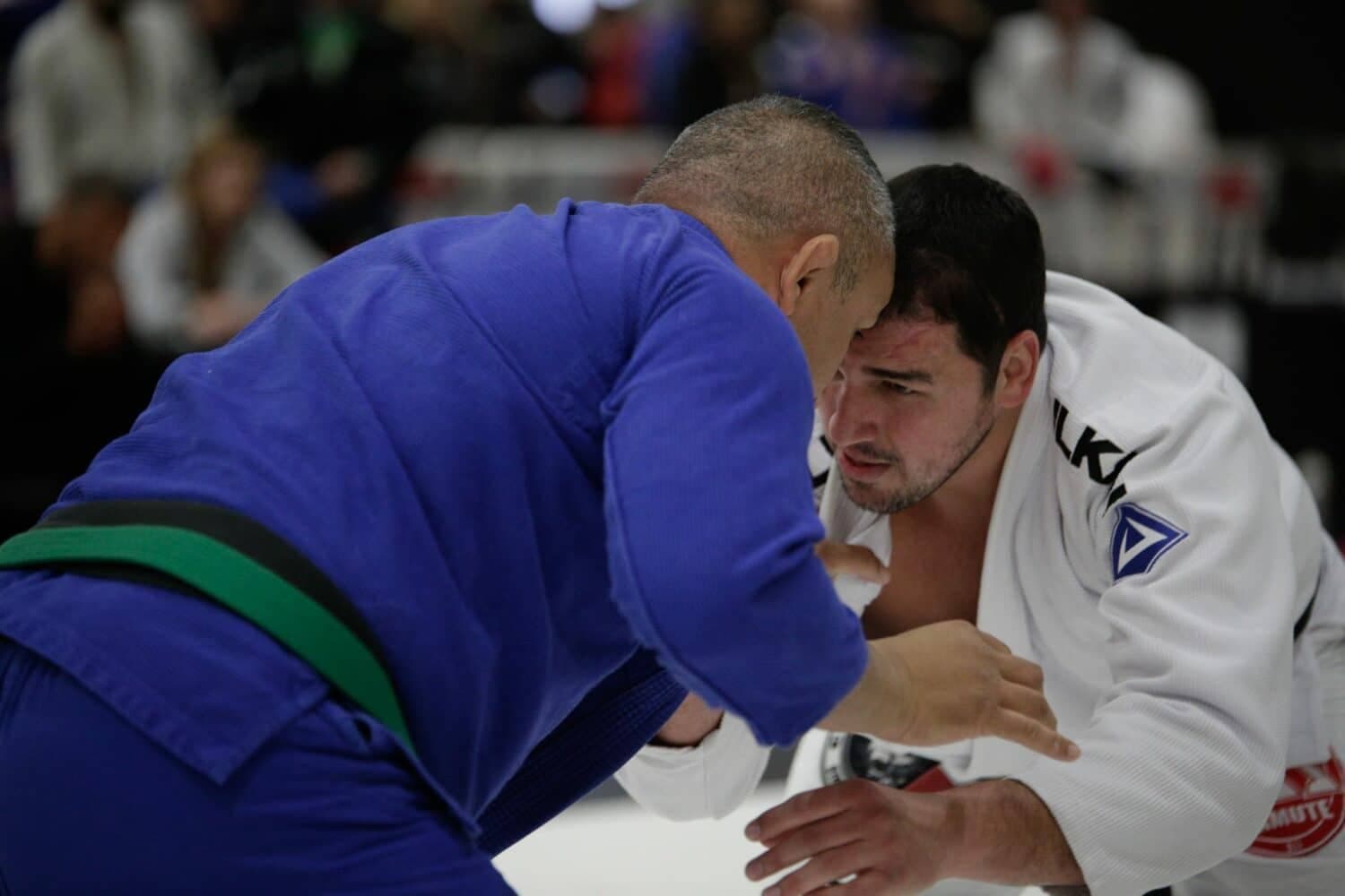 Main image of Mamute Jiu Jitsu