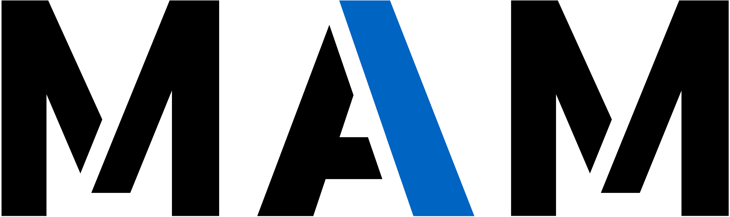 Mano A Mano Jiu Jitsu logo