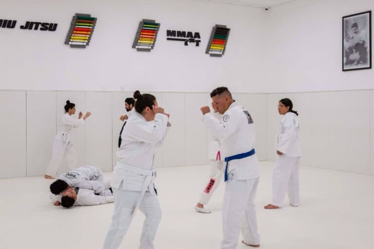 Main image of Marcellini's Martial Arts Academy - Riverside