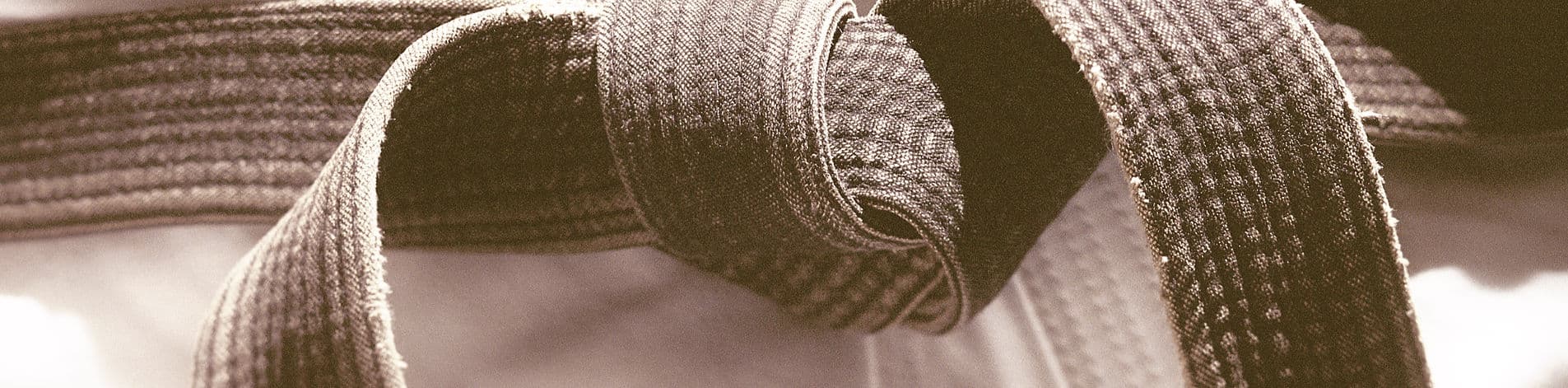 Main image of Martial Arts America