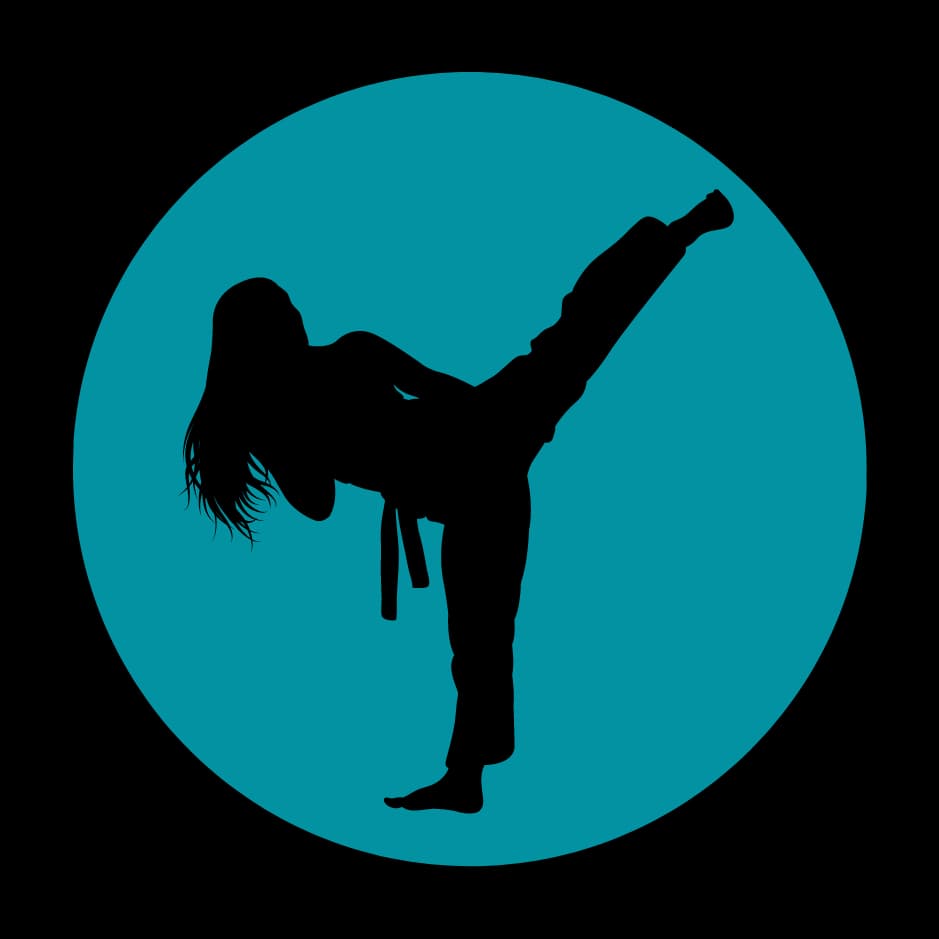 Martial Arts Institute, Socorro logo