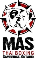 MAS Academy Of Martial Arts logo