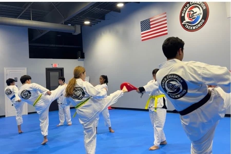 Main image of Master D Choi's World Champion Taekwondo