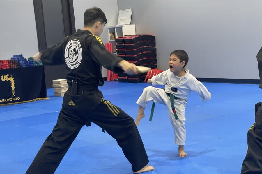 Master D Choi's World Champion Taekwondo logo