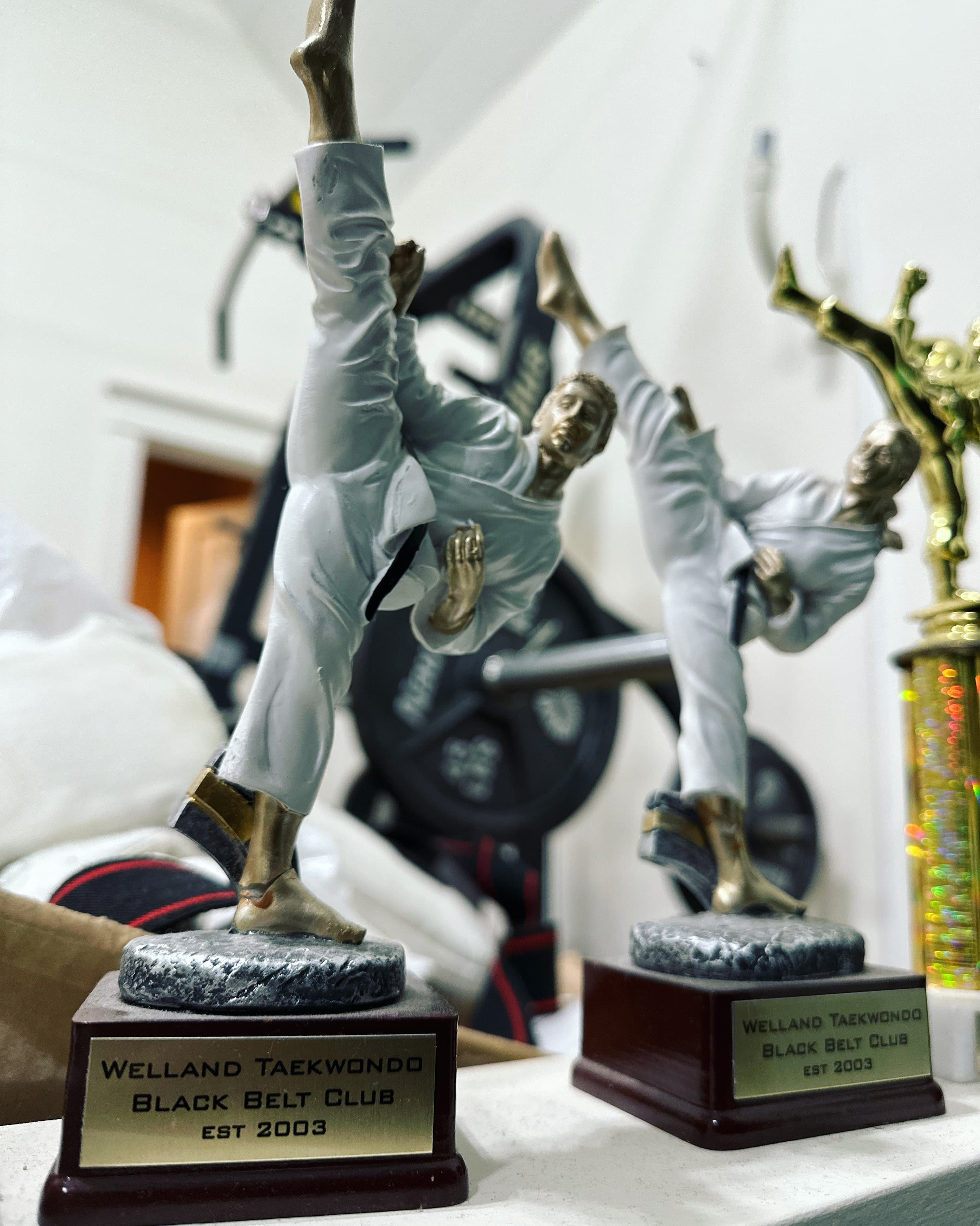 Main image of Master Nam's Taekwondo - Fonthill