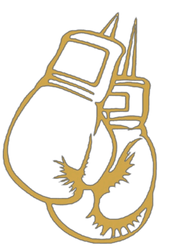 Matrix Boxing logo