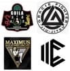 Main image of Maximus Combat Sports