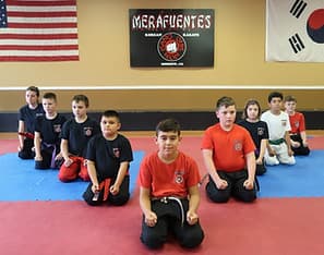 Main image of Merafuentes Martial Arts Center