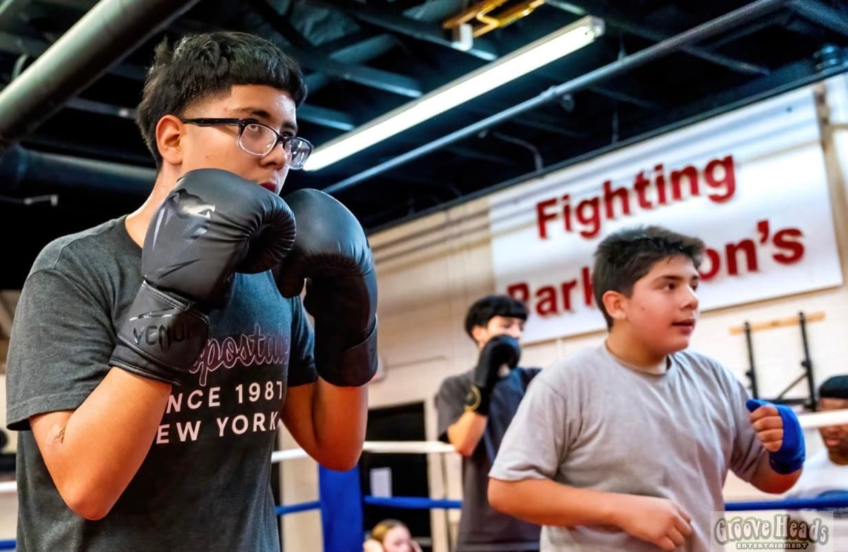 Main image of Mesa Boxing