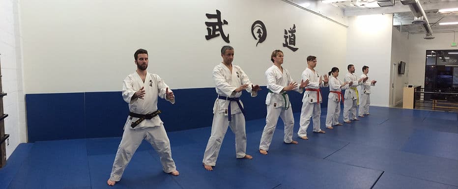 Main image of MuDo Integrated Martial Art